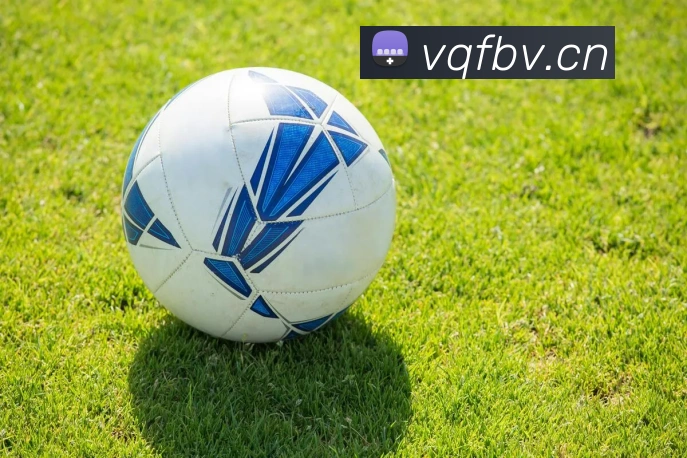 leyu乐鱼官方在线登录品牌故事