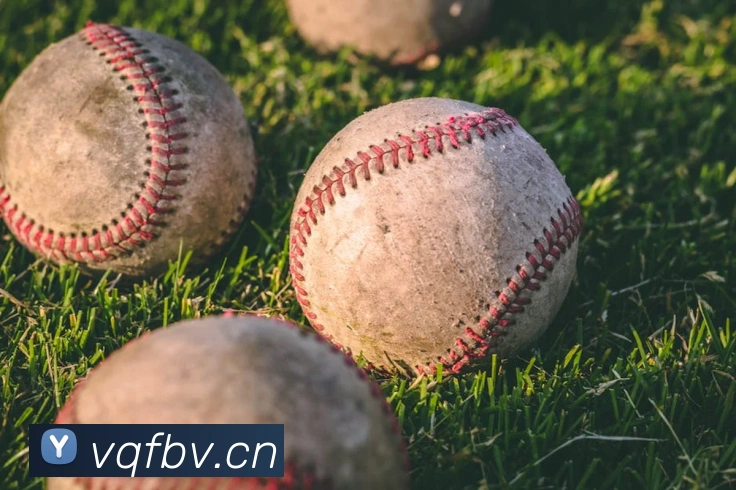 leyu乐鱼官方在线登录服务体系